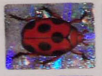 Verschiedene Sticker