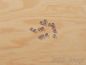 Preview: Acryl - Facette Perlen spitz 4,5mm