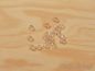Preview: Acryl - Facette Perlen spitz 4,5mm