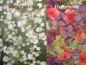 Preview: Fotokarton Motive