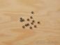 Preview: Wachsperlen 6mm