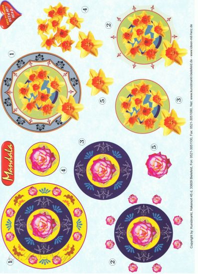 3D Bogen Mandala Rose und Narzissen