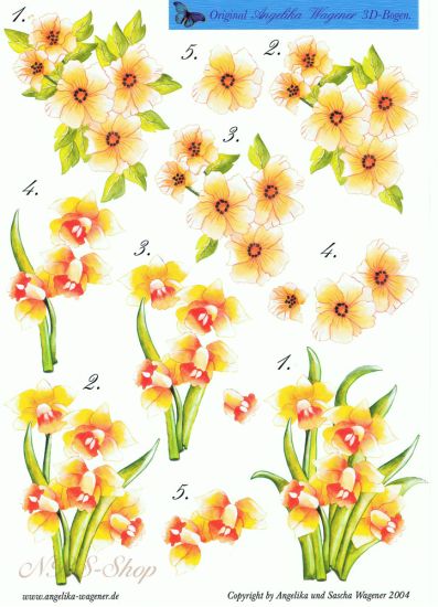 3D Bogen Narzissen