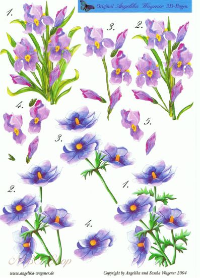 3D Bogen Frühlingsblumen 2