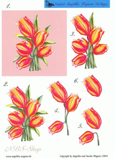 3D Bogen Tulpen-Bild