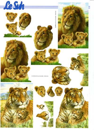 3D Bogen Löwe und Tiger