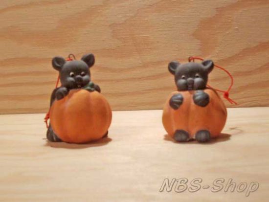 Kürbis mit Fledermaus