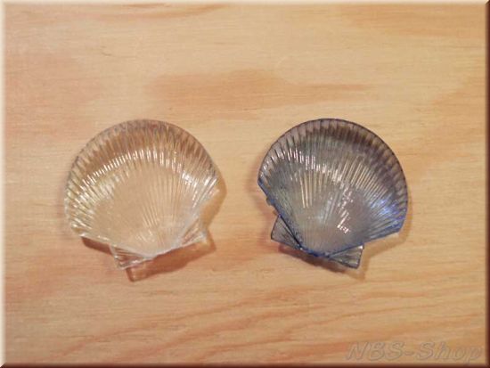 Acryl Muscheln und Seesterne