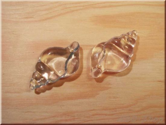 Acryl Muscheln und Seesterne