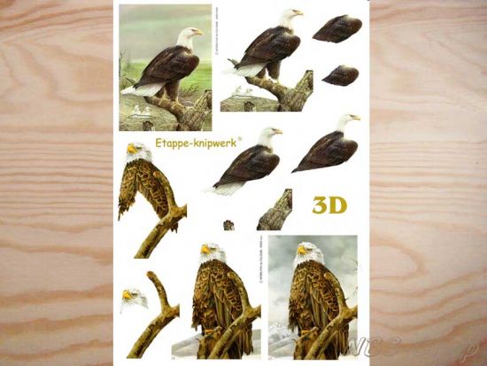 3D Bogen Adler