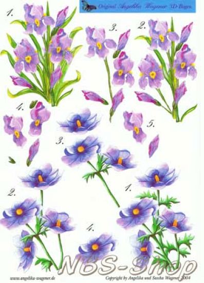 3D Bogen Frühlingsblumen 2