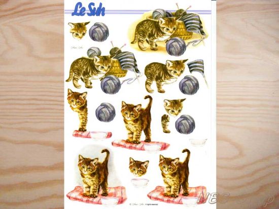 3D Bogen Katzenkinder