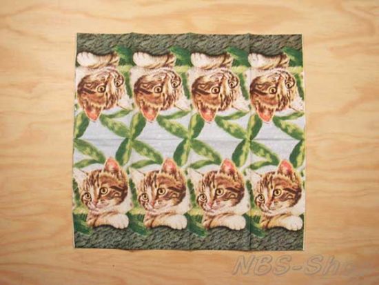 Motiv-Taschentücher - Katzen