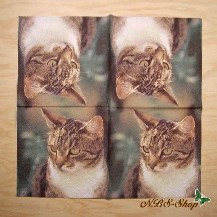 Motivserviette - Katze