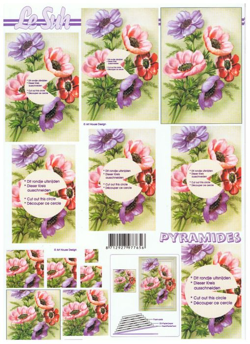 Pyramiden - Feldblumen