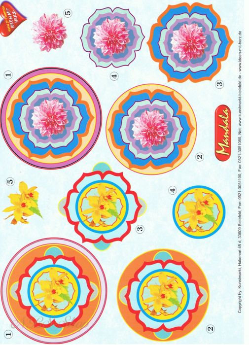 3D Bogen Mandala Narzisse und Nelke