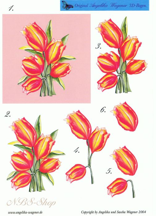 3D Bogen Tulpen-Bild