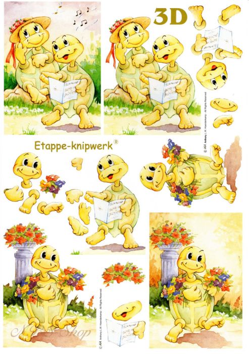 3D Bogen Schildkröten