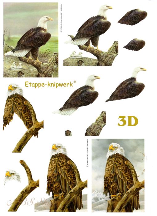3D Bogen Adler