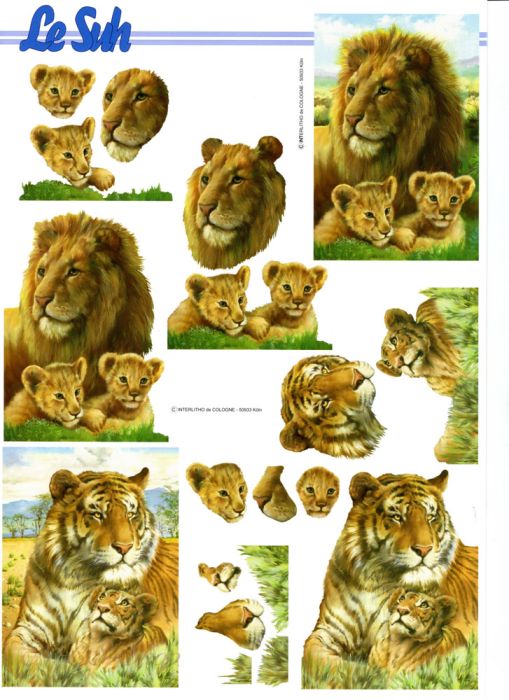 3D Bogen Löwe und Tiger