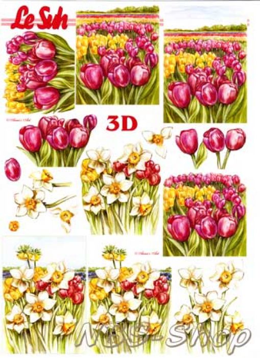 3D Bogen Tulpen und Narzissen