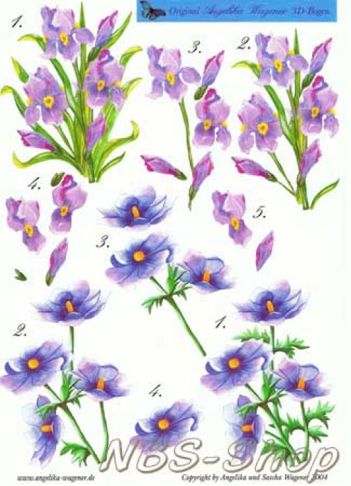 3D Bogen Frühlingsblumen 2
