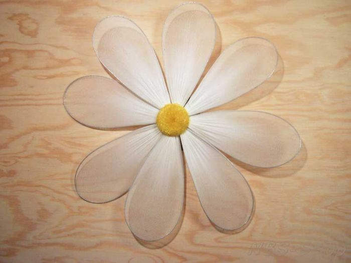 Große Drathblume