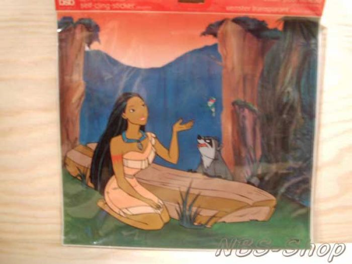 Fensterbild "Pocahontas"