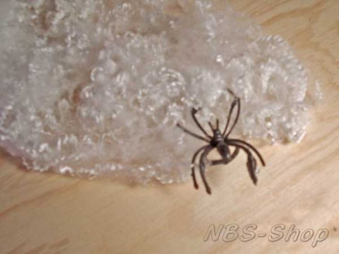 Spinnennetz groß