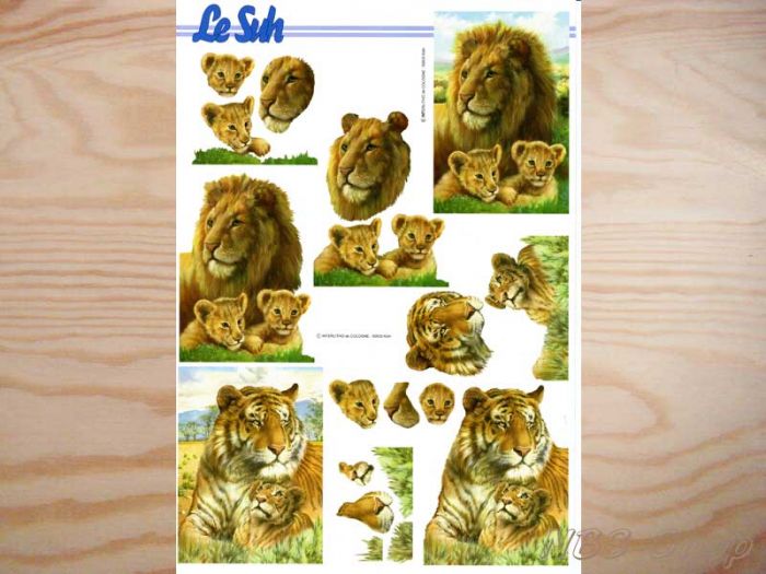 3D Bogen Löwe und Tiger
