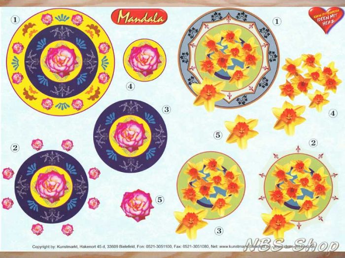 3D Bogen Mandala Rose und Narzissen