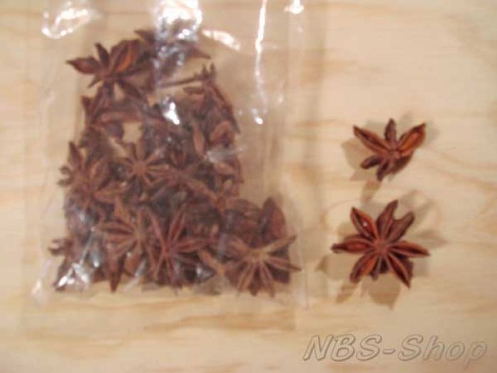 Sternanis