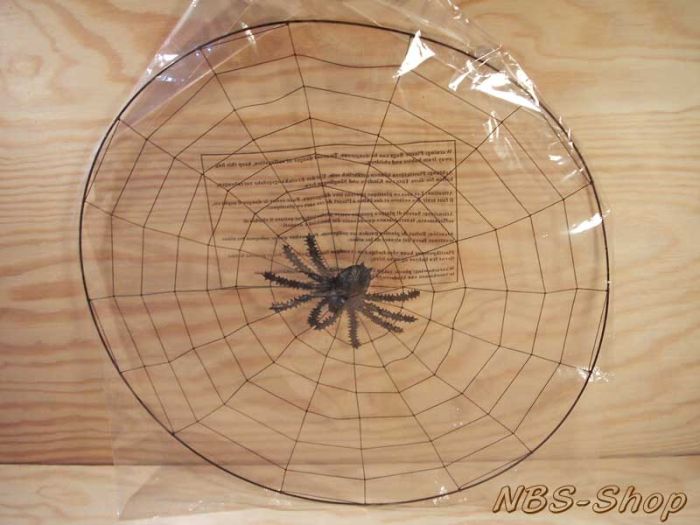 Spinnennetz mit Spinne
