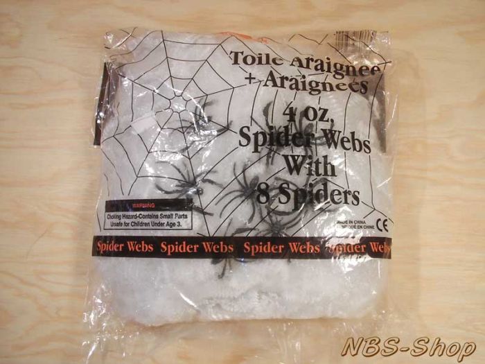 Spinnennetz groß