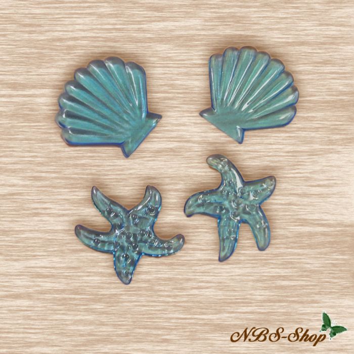 Muscheln und Seesterne