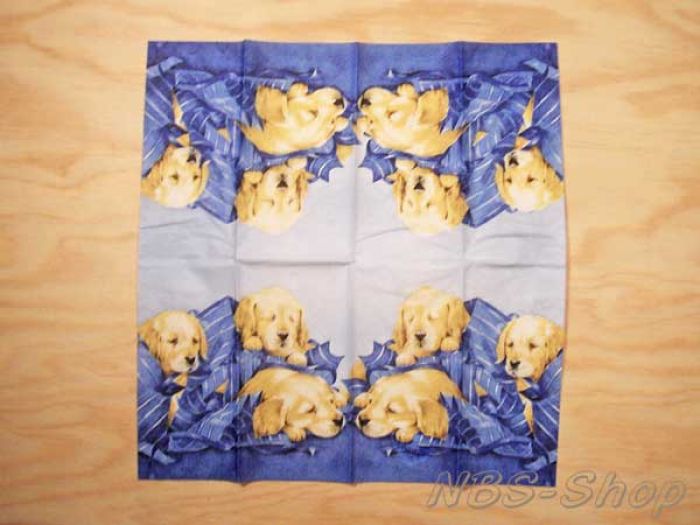 Motiv-Taschentücher - Hunde