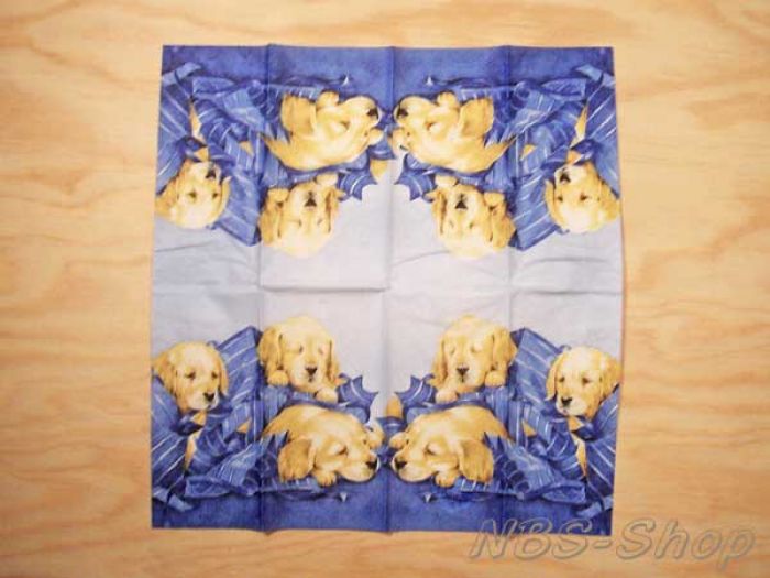 Motiv-Taschentücher - Hunde