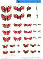 3D Bogen Schmetterlinge rot