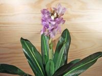 lila Blume mit Draht-Stiel