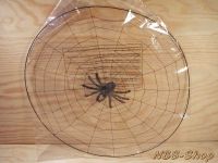 Spinnennetz mit Spinne