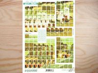 Squares Bogen Katzen
