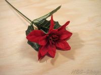 Weihnachtsstern